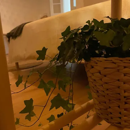 No Chiado Homestay Lisbon